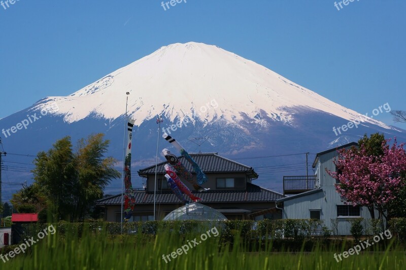 Mt Fuji Gotemba Satsuki May Carp Streamer