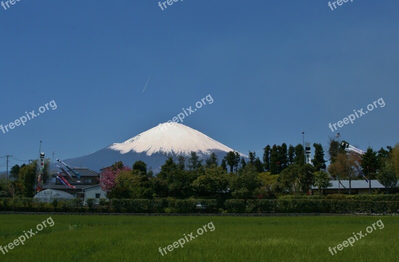 Mt Fuji Gotemba Satsuki May Carp Streamer