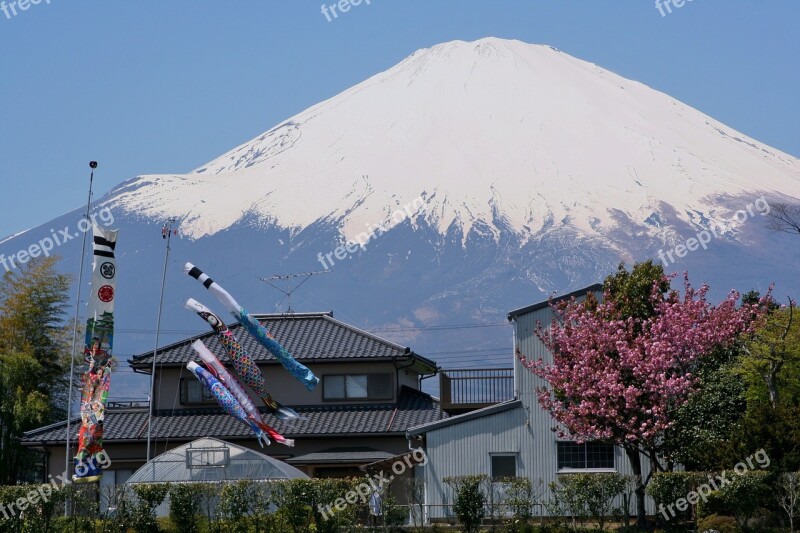 Mt Fuji Gotemba Satsuki May Carp Streamer