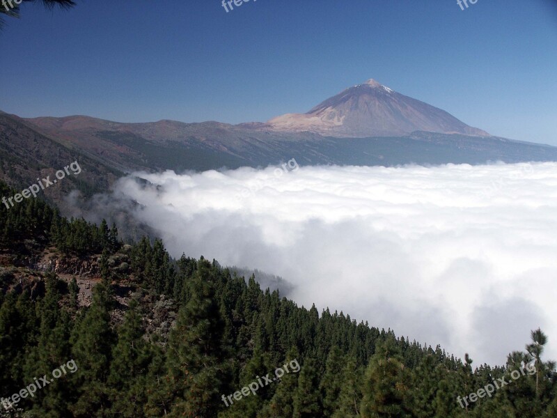 Tenerife Teide Humboldt Canary Islands Nature