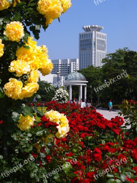 Verny Park France Rose Red Yellow