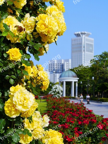 Verny Park France Rose Yellow Red