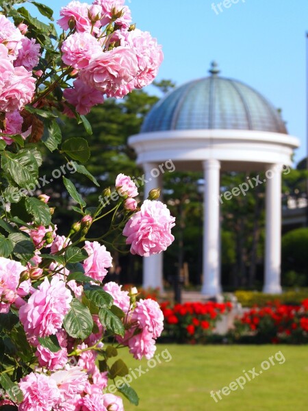 Verny Park France Rose Pink Red