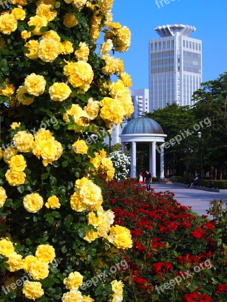 Verny Park France Rose Yellow Red