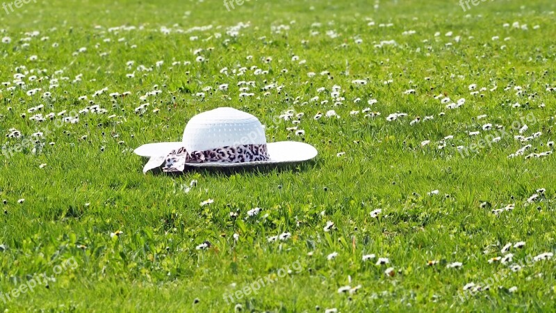 Hat Summer Hat Lady Meadow Daisy