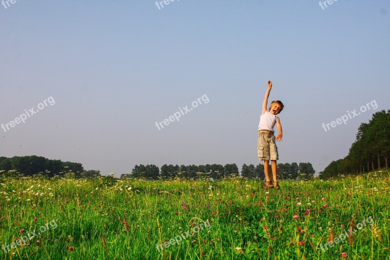 Freedom Meadow Spring Summer Flowers Nature