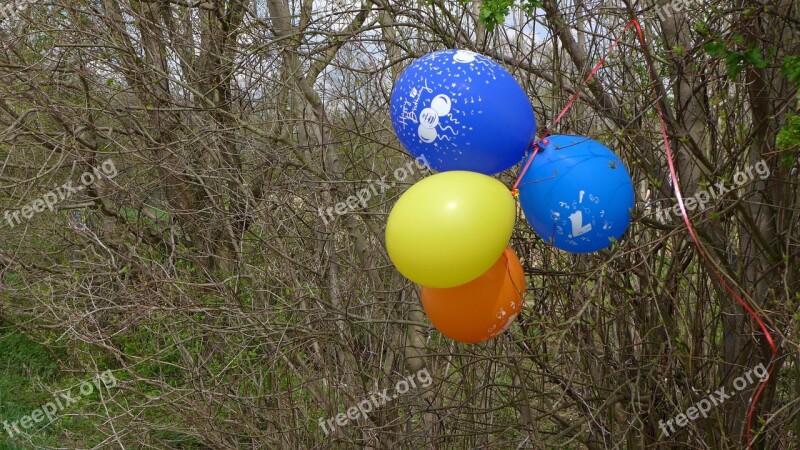 Balloons Bush Mark Colorful Yellow