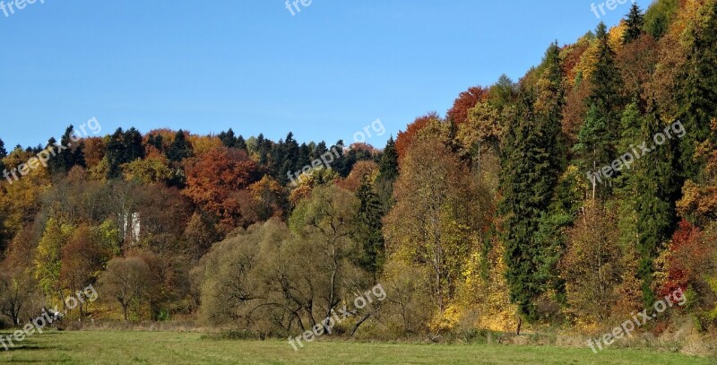 The Founding Fathers Poland Landscape The National Park Autumn