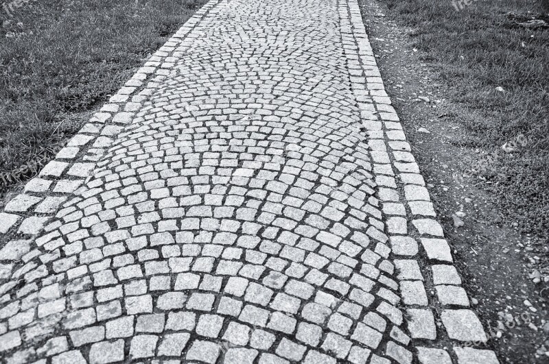 Cobblestones Pavement Czech Artistic Black