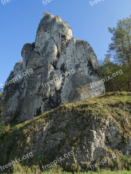 The Founding Fathers Poland The National Park Landscape Nature