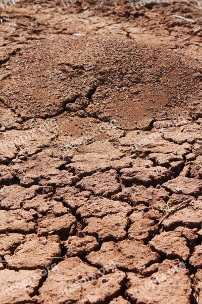 Ant Hill Cracked Earth Ground Soil Parched Soil