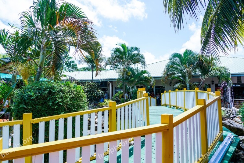 Belize Port Tropical Bridge Walkway