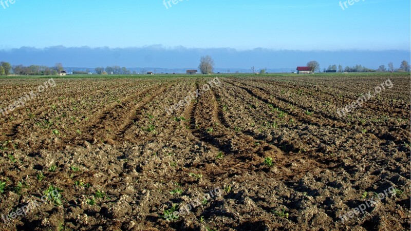 Field Arable Nature Agriculture Fields