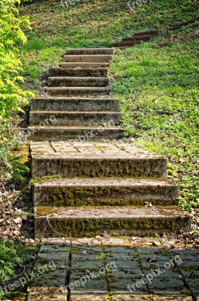 Stairs Gradually Green Architecture Staircase