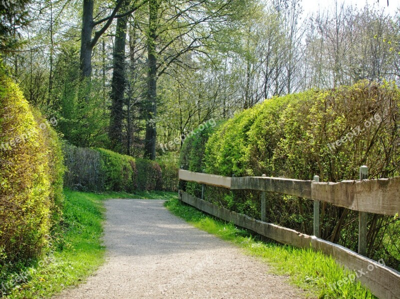 Spring Away Trees Nature Forest