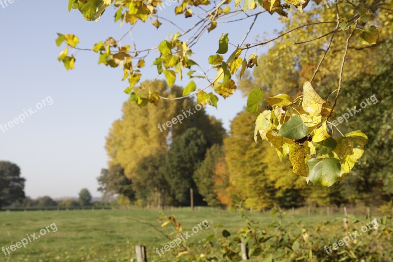 Autumn Autumn Landscape Nature Trees Sky