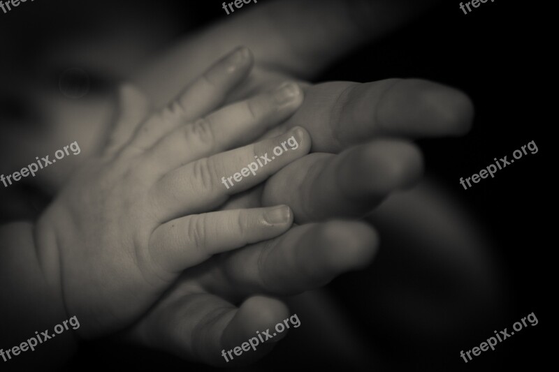 Hand Child's Hand Trust Free Photos