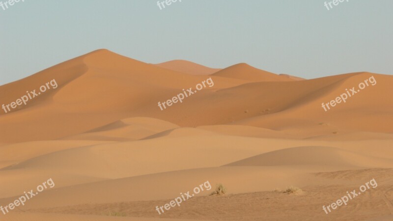 Dunes Sand Desert Sahara Morocco