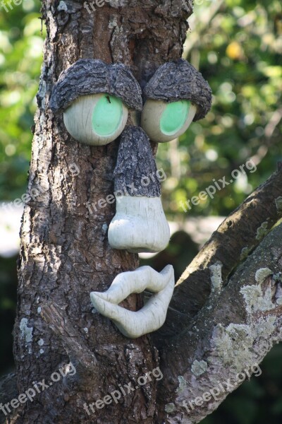 Tree Face Tortuous Strange Free Photos