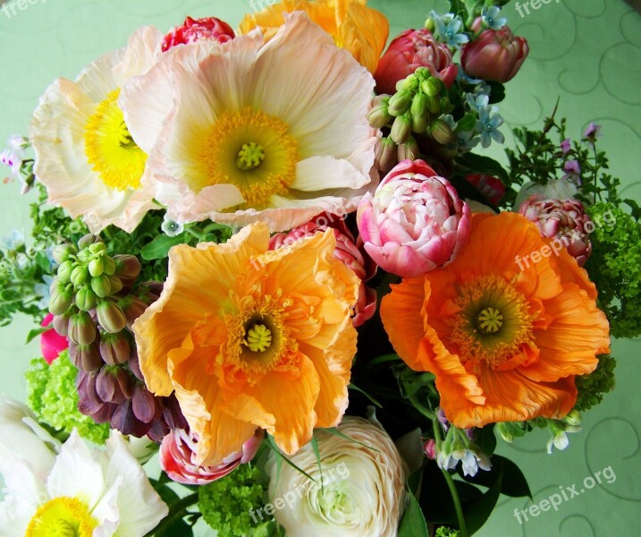 Flower Bouquet Color Cut Flowers Free Photos