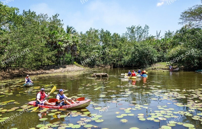 Belize Bacab Jungle Park Kayaks People Person Nature