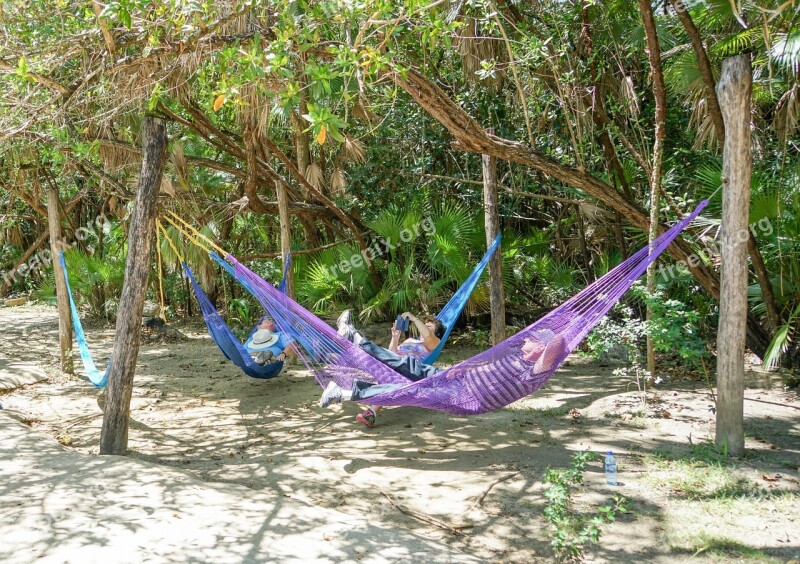 Belize Bacab Jungle Park Hammocks People Person