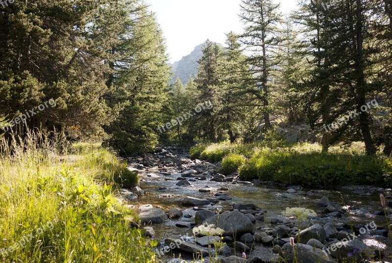 National Park Mercantour France Landscape Forest