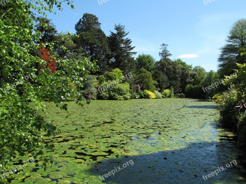 Gardens Park Nature Green Summer