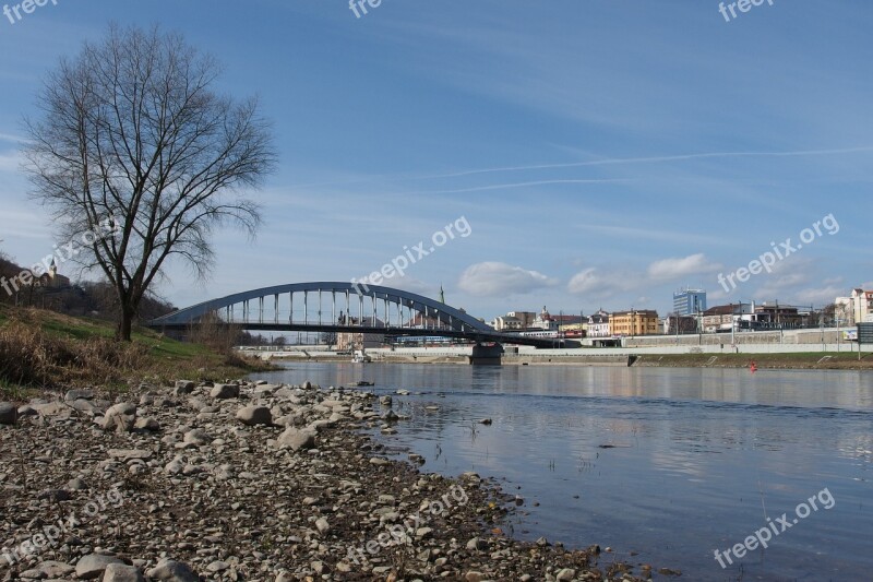 Bridge Tree Panorama ústí Nad Labem Elbe