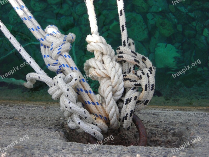 Sea Rope Leash Knot Free Photos