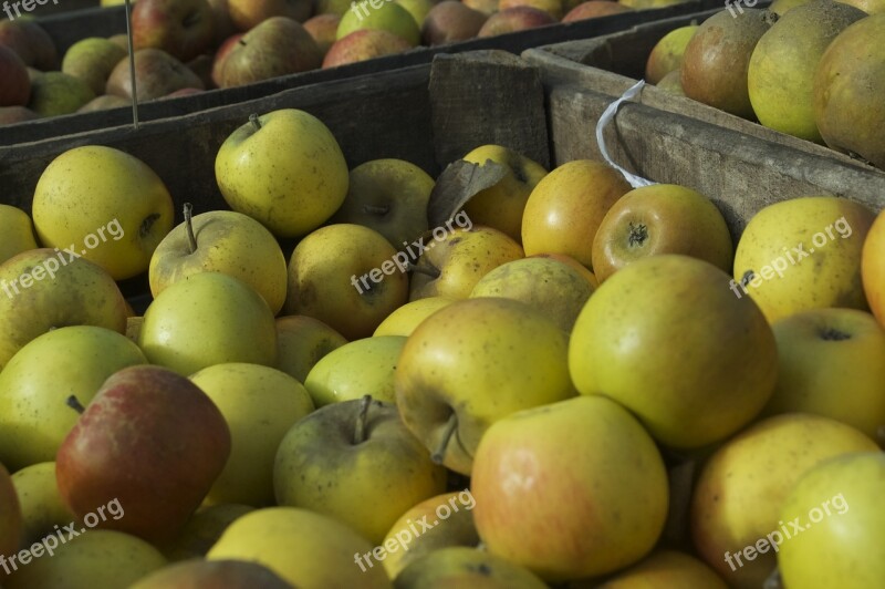 Apple Fruit Food Green Healthy