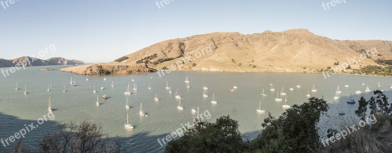 Lyttelton New Zealand Sea Bay Pacific Ocean Calm