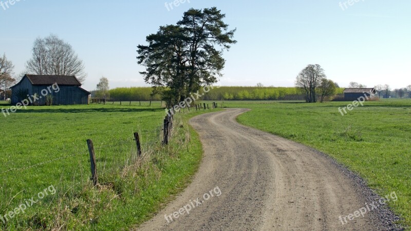 Road Lane Away Nature Dirt Track