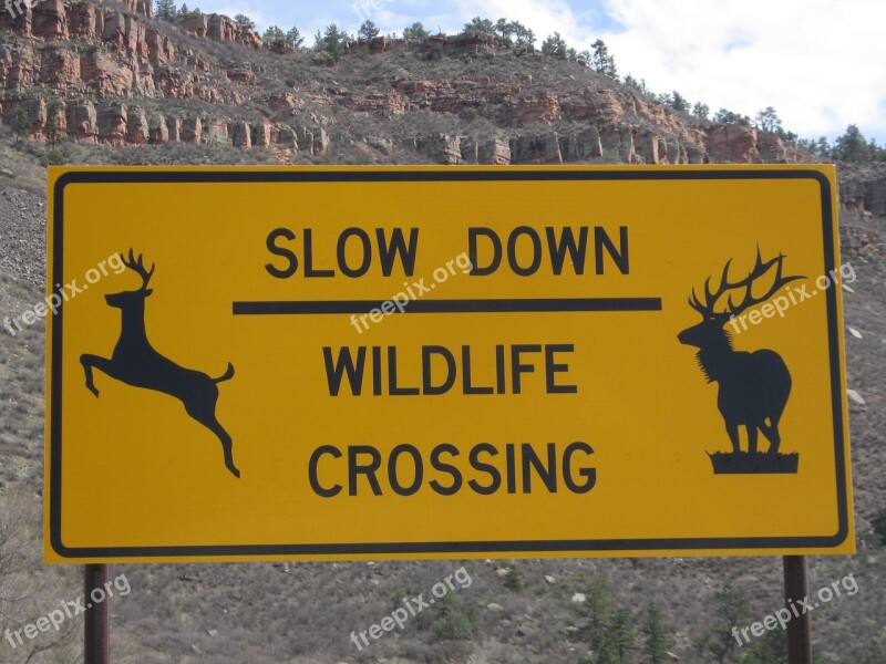 Wildlife Sign Road Animal Icon