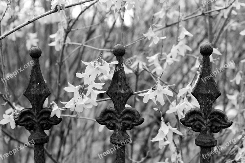 Fence Fence Top Great Metal Old