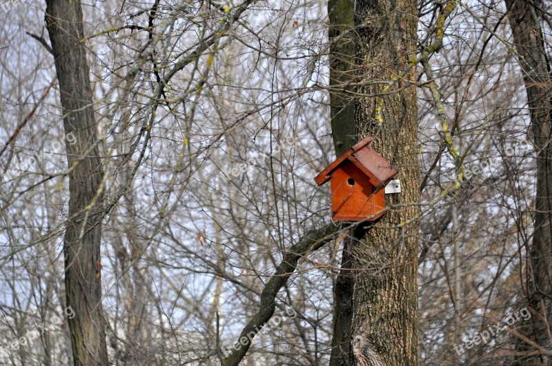 Bird House Tree Branches Winter Nature Park