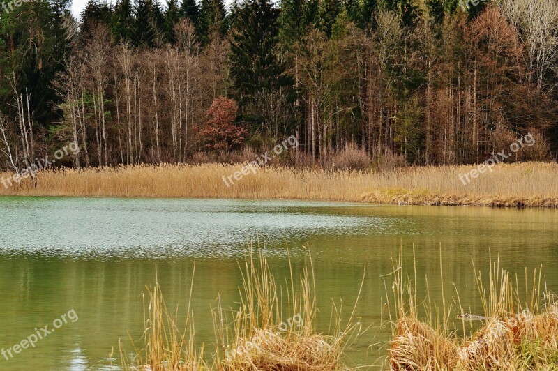 Easter Lake Iffeldorf Landscape Waters Nature