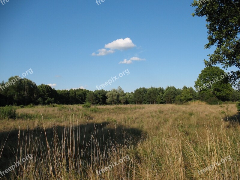 Landscape Kampinos National Park Free Photos