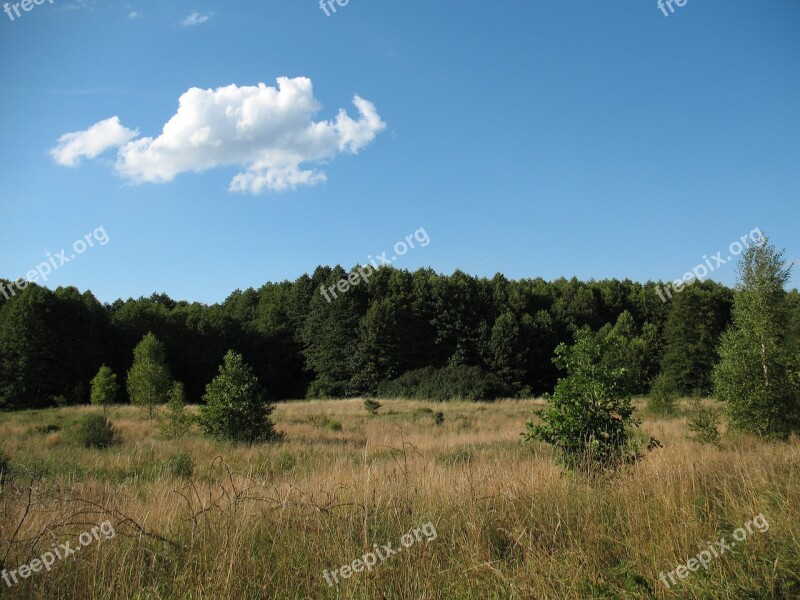 Landscape Kampinos National Park Free Photos