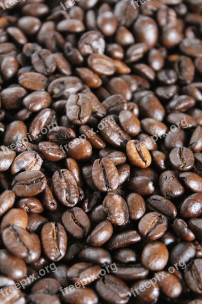 Coffee Grain Coffee Beans Free Photos