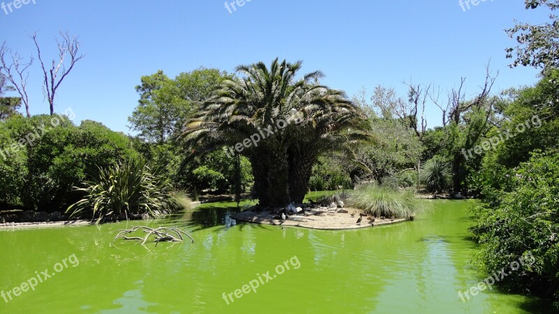 Nature Landscape Life Pond Green Water