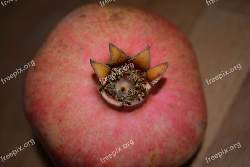 Pomegranate Fruit Pomegranates Healthy Punica Granatum