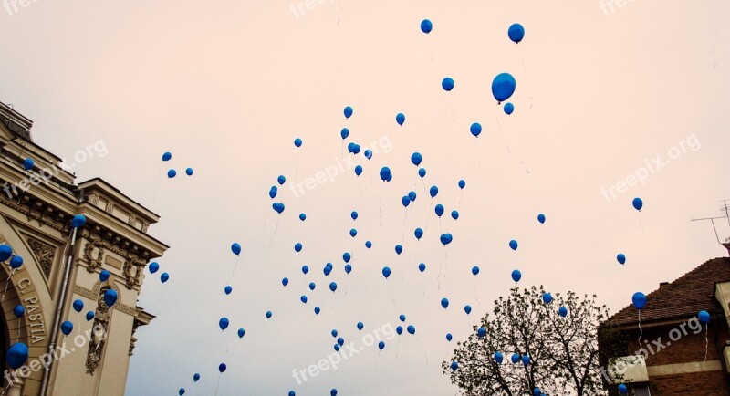 Balloons Blue Sky Air Flying