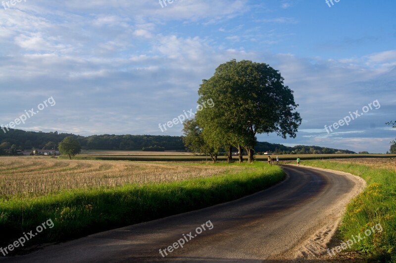 Doubs Besançon Tree Country Road France