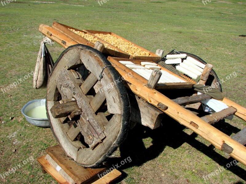 Car Wheel Cheese Cheese Drying Mongolia