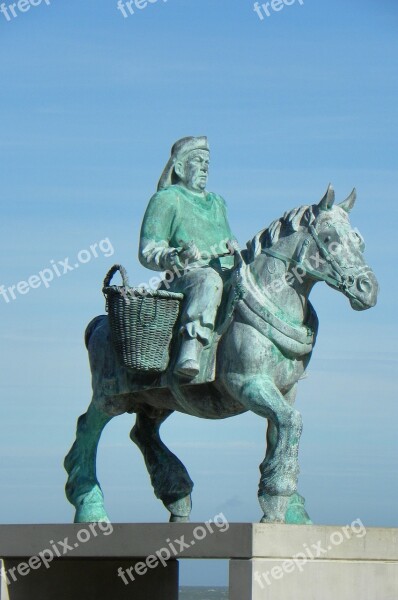 Horse Fisherman Fishermen Shrimp Fishermen Belgium