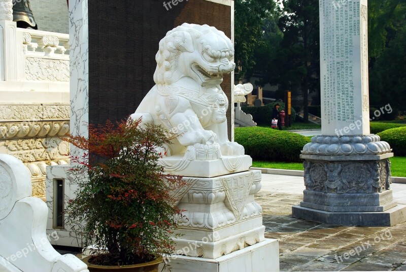 China X'ian Xian Lion Statue