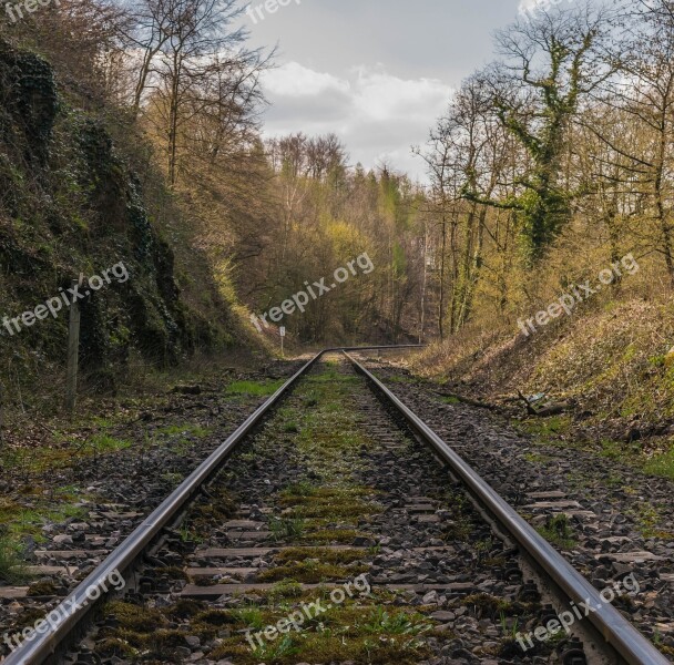 Gleise Rails Railway Railway Tracks Forest