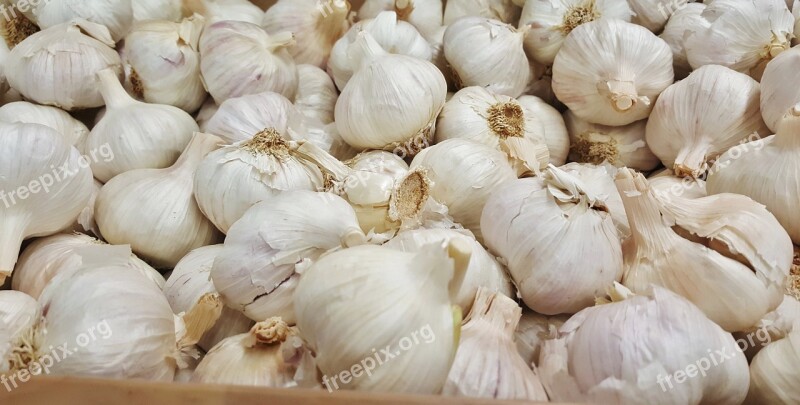 Garlic Bulb Bulbous Food Grocery