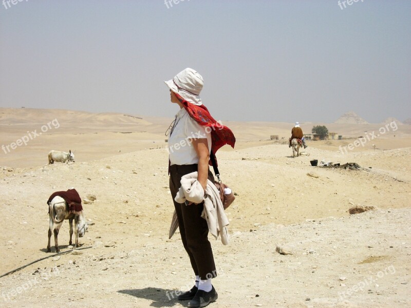 Egypt Desert Camel Libya Desert Sandstorm